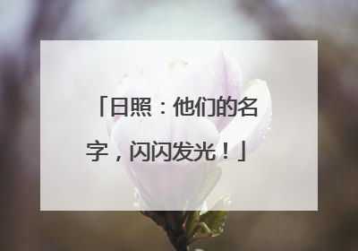 日照：他们的名字，闪闪发光！