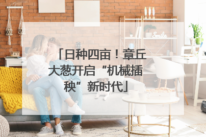 日种四亩！章丘大葱开启“机械插秧”新时代