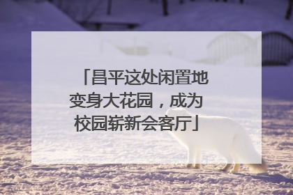 昌平这处闲置地变身大花园，成为校园崭新会客厅