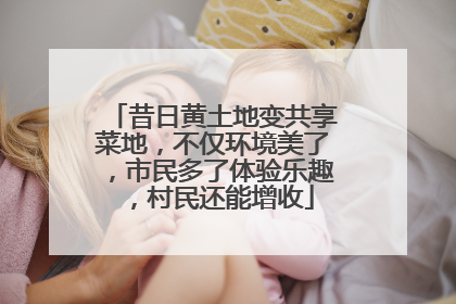 昔日黄土地变共享菜地，不仅环境美了，市民多了体验乐趣，村民还能增收