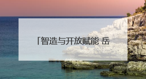 智造与开放赋能 岳阳新质生产力提速