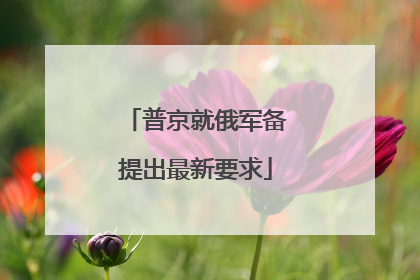 普京就俄军备提出最新要求