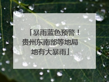暴雨蓝色预警！贵州东南部等地局地有大暴雨