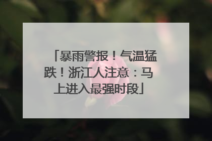 暴雨警报！气温猛跌！浙江人注意：马上进入最强时段