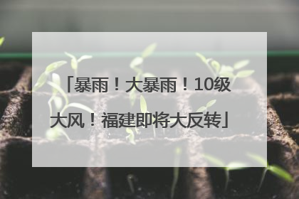 暴雨！大暴雨！10级大风！福建即将大反转