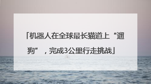 机器人在全球最长猫道上“遛狗”，完成3公里行走挑战