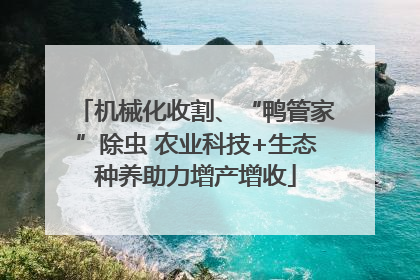 机械化收割、“鸭管家”除虫 农业科技+生态种养助力增产增收