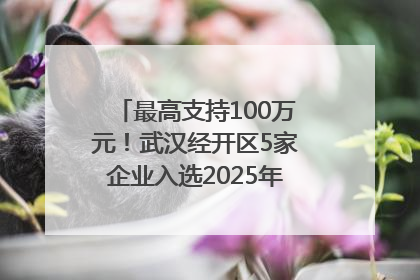 最高支持100万元！武汉经开区5家企业入选2025年度武汉市重点研发计划拟立项项目名单
