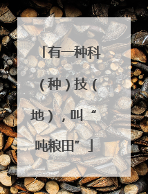 有一种科（种）技（地），叫“吨粮田”