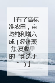 有了高标准农田，亩均纯利增六成（经济聚焦·夏收里的“新选手”）