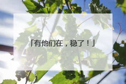 有他们在，稳了！