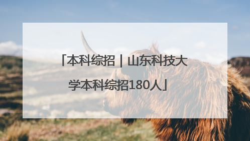 本科综招｜山东科技大学本科综招180人