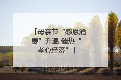 母亲节“感恩消费”升温 催热“孝心经济”
