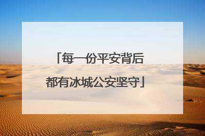 每一份平安背后 都有冰城公安坚守