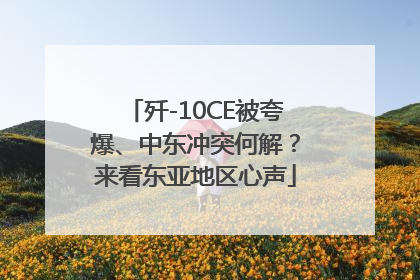歼-10CE被夸爆、中东冲突何解？来看东亚地区心声