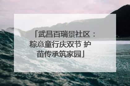 武昌百瑞景社区：粽意童行庆双节 护苗传承筑家园
