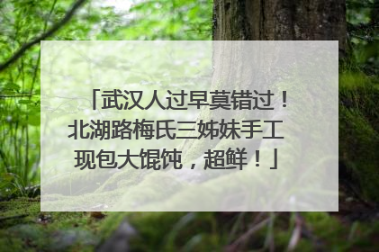 武汉人过早莫错过！北湖路梅氏三姊妹手工现包大馄饨，超鲜！