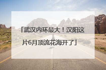 武汉内环最大！汉阳这片6月顶流花海开了
