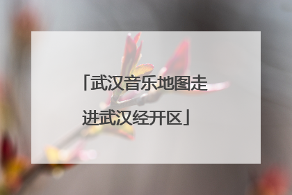 武汉音乐地图走进武汉经开区
