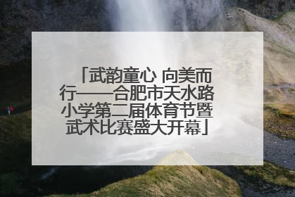 武韵童心 向美而行——合肥市天水路小学第二届体育节暨武术比赛盛大开幕