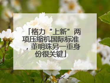 格力“上新”两项压缩机国际标准，董明珠另一重身份很关键