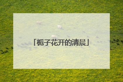 栀子花开的清晨