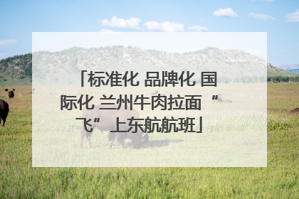 标准化 品牌化 国际化 兰州牛肉拉面“飞”上东航航班