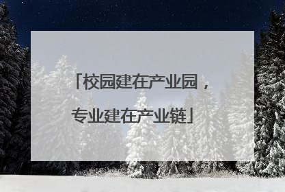 校园建在产业园，专业建在产业链