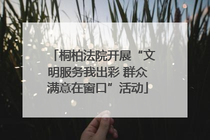 桐柏法院开展“文明服务我出彩 群众满意在窗口”活动
