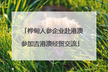 桦甸人参企业赴港澳参加吉港澳经贸交流