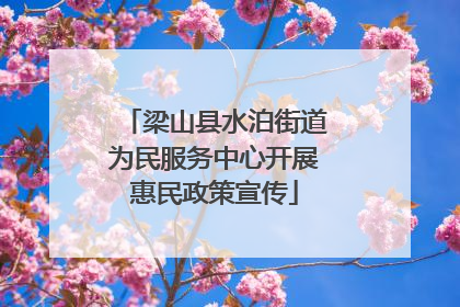 梁山县水泊街道为民服务中心开展惠民政策宣传