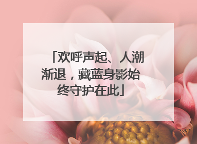 欢呼声起、人潮渐退，藏蓝身影始终守护在此