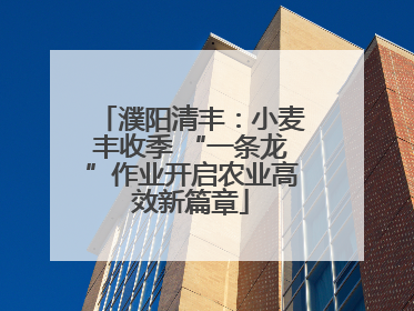 濮阳清丰：小麦丰收季 “一条龙”作业开启农业高效新篇章