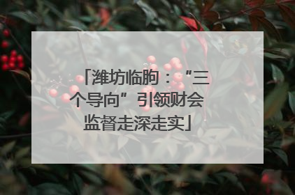 潍坊临朐：“三个导向”引领财会监督走深走实