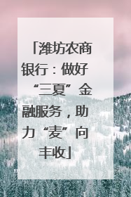 潍坊农商银行：做好“三夏”金融服务，助力“麦”向丰收