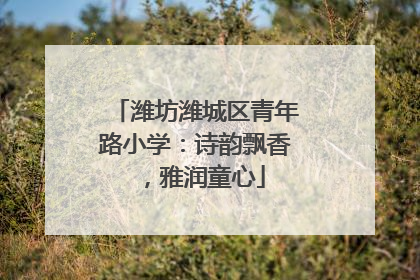 潍坊潍城区青年路小学：诗韵飘香，雅润童心