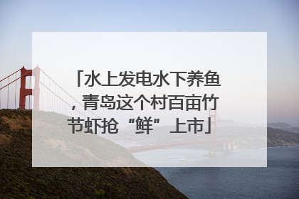 水上发电水下养鱼，青岛这个村百亩竹节虾抢“鲜”上市