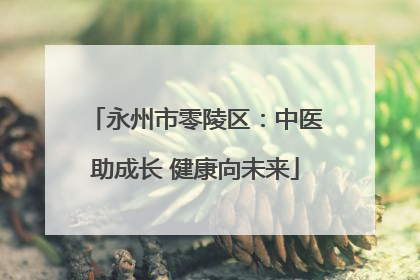 永州市零陵区：中医助成长 健康向未来