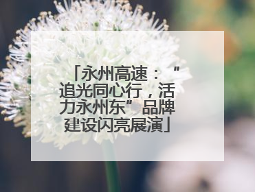 永州高速：“追光同心行，活力永州东”品牌建设闪亮展演