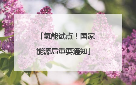 氢能试点！国家能源局重要通知
