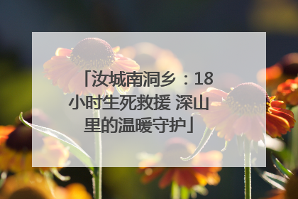 汝城南洞乡：18小时生死救援 深山里的温暖守护