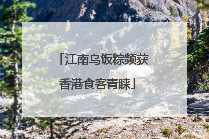 江南乌饭粽频获香港食客青睐