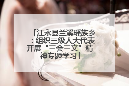 江永县兰溪瑶族乡：组织三级人大代表开展“三会三文”精神专题学习
