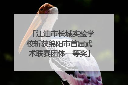 江油市长城实验学校斩获绵阳市首届武术联赛团体一等奖