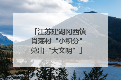 江苏建湖冈西镇肖荡村“小积分”兑出“大文明”