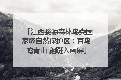 江西婺源森林鸟类国家级自然保护区：百鸟鸣青山 翩跹入画屏