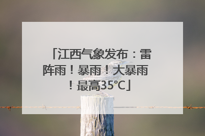 江西气象发布：雷阵雨！暴雨！大暴雨！最高35℃