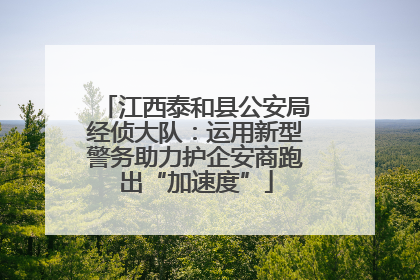 江西泰和县公安局经侦大队：运用新型警务助力护企安商跑出“加速度”