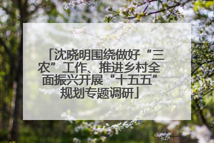 沈晓明围绕做好“三农”工作、推进乡村全面振兴开展“十五五”规划专题调研