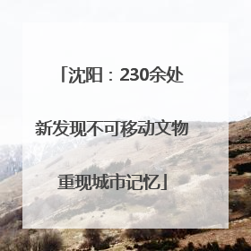 沈阳：230余处新发现不可移动文物重现城市记忆